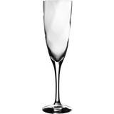Diskmaskinsvänliga Champagneglas Kosta Boda Château Champagneglas 21cl