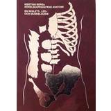 Rörelseapparatens anatomi: en skelett, led och muskelguide (Inbunden)