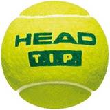 Rör Tennisbollar Head TIP Green Stage - 3 bollar