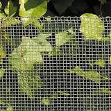 Stål Stängselnät NSH Nordic Insect Wire Netting 106-799 60cmx1m