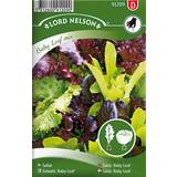 Bladgrönsaker Grönsaksfröer Nelson Garden Salat Baby Leaf Mix 800 pack