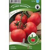 Mars Grönsaksfröer Nelson Garden Tomato Greenhouse Sparta F1 10 pack