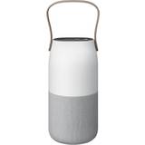Samsung Slavbas eller passiv bas Högtalare Samsung Wireless Speaker Bottle