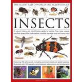 Uppslagsverk Böcker The Illustrated World Encyclopedia of Insects: A Natural History and Identification Guide to Beetles, Flies, Bees, Wasps, Springtails, Mayflies, Stone (Inbunden, 2011)