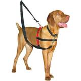 Halti Hundar Husdjur Halti Training Harness S