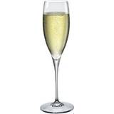Bormioli Rocco Champagneglas Bormioli Rocco Premium Champagneglas 25cl 6st