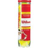 Wilson Rör Tennisbollar Wilson Championship Extra Duty - 4 bollar