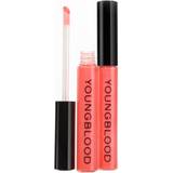 Youngblood Läppglans Youngblood Lipgloss Devotion