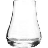 Sagaform Whiskyglas Sagaform Club Whiskyglas 15cl 2st