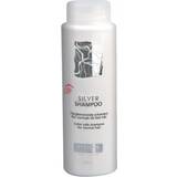 Vision Haircare It's Silver Shampoo 250ml