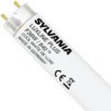 Sylvania 0001510 Fluorescent Lamp 36W G13
