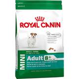 Royal Canin Hundar - Vitamin E Husdjur Royal Canin Mini Adult 8+ 8kg