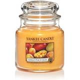 Yankee Candle Med lock Inredningsdetaljer Yankee Candle Mango Peach Salsa Small Doftljus 104g