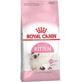 Royal Canin Katter - Magnesium Husdjur Royal Canin FHN Kitten 2kg