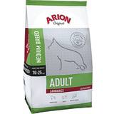 Arion Husdjur Arion Adult Medium Lamb & Rice 12kg