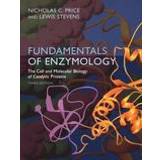 Fundamentals of Enzymology (Häftad, 1999)