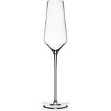 Rogaska Glas Rogaska Domus Aurea Champagneglas 2st