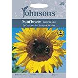 Johnson's Fröer Johnson's Sunflower Giant Single Mixed 75 pack