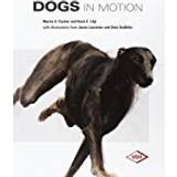 Dogs in motion (Inbunden, 2016)