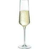 Glas Leonardo Puccini Champagneglas 28cl 6st