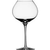 Munblåsta Glas Orrefors Difference Mature Vinglas 65cl