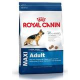 Royal Canin Hundar - Nötkött Husdjur Royal Canin Maxi Adult 10kg