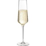 Leonardo puccini Leonardo Puccini Champagneglas 28cl