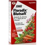 Floradix Vitaminer & Mineraler Floradix Blutsaft 50 st