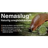 Nemaslug Skadedjursbekämpning Nemaslug Natural Slug Killer