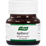 A.Vogel Vitaminer & Kosttillskott A.Vogel Apiforce Bidrottninggele 30 st