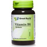 Sodium Vitaminer & Mineraler Great Earth Vitamin B6 Pyridoxine 60 st