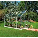 Växthus Halls Greenhouses Popular 106 6.2m² Aluminium Glas