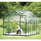 Fristående växthus Vitavia Diana 11.5m² Aluminium Glas