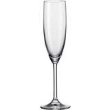 Utan handtag Champagneglas Leonardo Daily Champagneglas 20cl 6st
