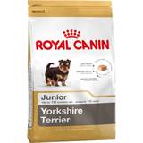 Hundar - X-Small (1-4kg) Husdjur Royal Canin Yorkshire Terrier Junior 1.5