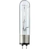 Högintensiva urladdningslampor Philips Master SDW-T High-Intensity Discharge Lamp 50W PG12-1