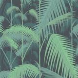 Cole & Son Easy up tapeter Cole & Son Palm Jungle (95/1003)