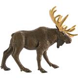 Safari Moose 290029