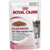 Royal Canin Katter - Mjölk Husdjur Royal Canin Kitten Instinctive Gelé