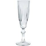 Pasabache Diamond Champagneglas 17cl