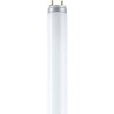 Osram Color Proof T8 Fluorescent Lamp 18W G13