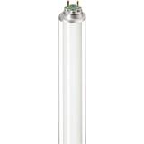 Philips Master TL-D Xtreme Polar Fluorescent Lamp 58W G13