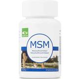 MSM Kosttillskott Healthwell MSM Powder 100g