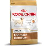 Royal Canin Vitamin B Husdjur Royal Canin Labrador Retriever Adult 12kg