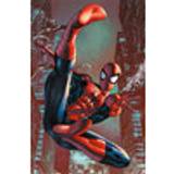 Superhjältar Tavlor & Posters Barnrum EuroPosters Poster Spider Man Web Sling V31828 61x91.5cm