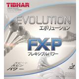 TIBHAR Bordtennisgummin TIBHAR Evolution FX-P