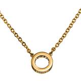 Rostfritt stål Halsband Edblad Monaco Mini Necklace - Gold/Transparent