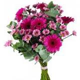 Lila Snittblommor Kärleksblommor Shimmering Blandade blommor 1