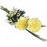 Blommor till begravning & kondoleanser Snittblommor Blommor till begravning & kondoleanser Handcuff with Yellow Carnations & Bear Grass Lång bukett