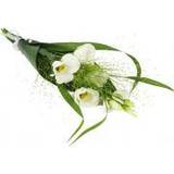 Blommor till begravning & kondoleanser Snittblommor Blommor till begravning & kondoleanser Hand Bucket with White Pruning Watch Lång bukett